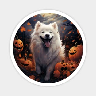 Samoyed Halloween Magnet